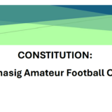 Bothasig AFC constitution 2026